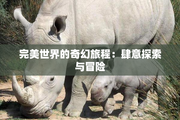 完美世界的奇幻旅程：肆意探索与冒险