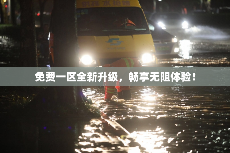 免费一区全新升级，畅享无阻体验！
