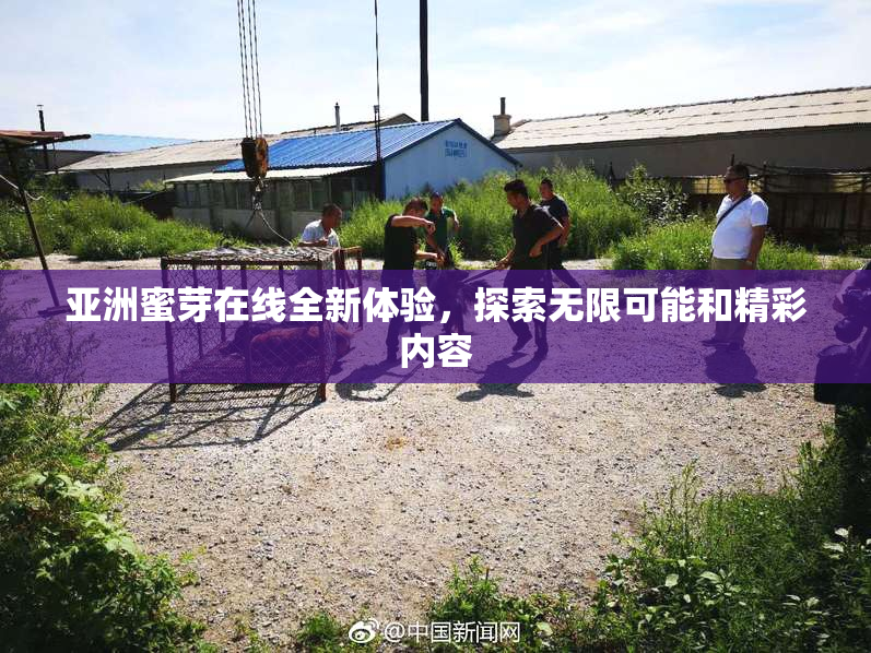 亚洲蜜芽在线全新体验，探索无限可能和精彩内容