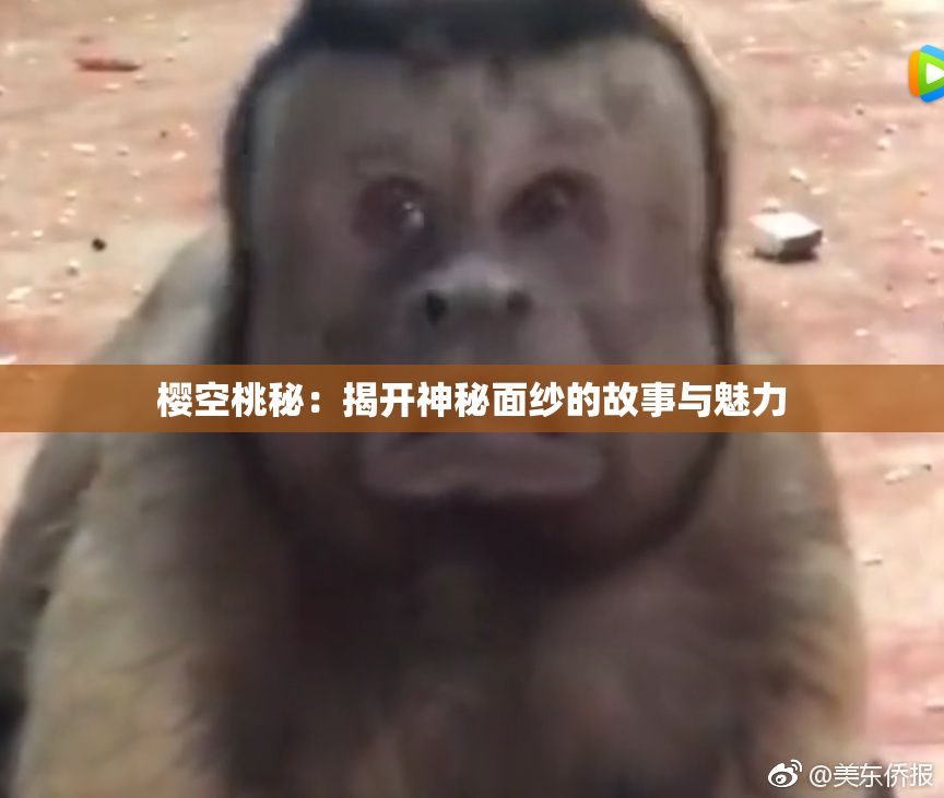 樱空桃秘：揭开神秘面纱的故事与魅力