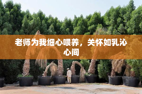 老师为我细心喂养，关怀如乳沁心间