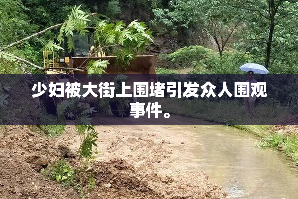 少妇被大街上围堵引发众人围观事件。