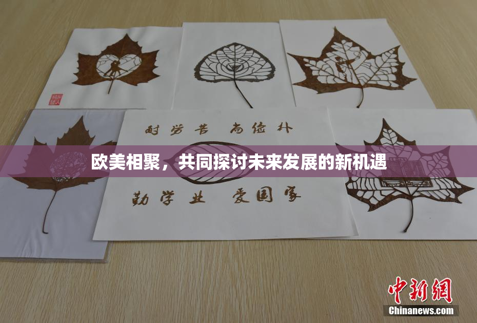 欧美相聚，共同探讨未来发展的新机遇