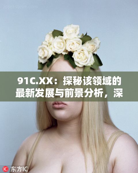 91C.XX：探秘该领域的最新发展与前景分析，深度解析未来趋势！