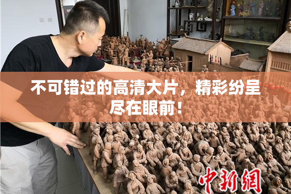 不可错过的高清大片，精彩纷呈尽在眼前！