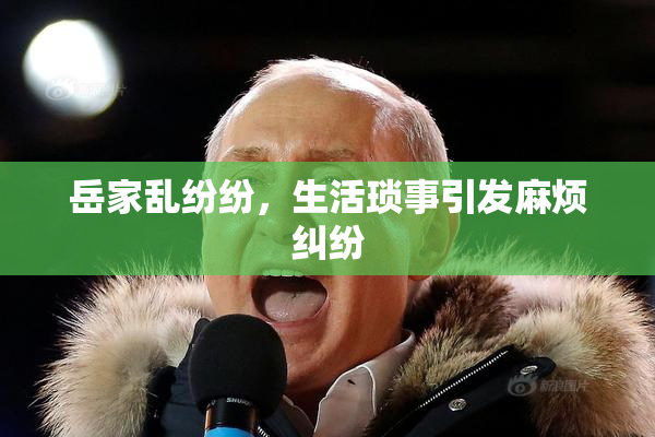 岳家乱纷纷，生活琐事引发麻烦纠纷