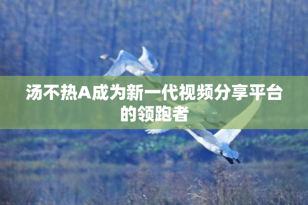 汤不热A成为新一代视频分享平台的领跑者