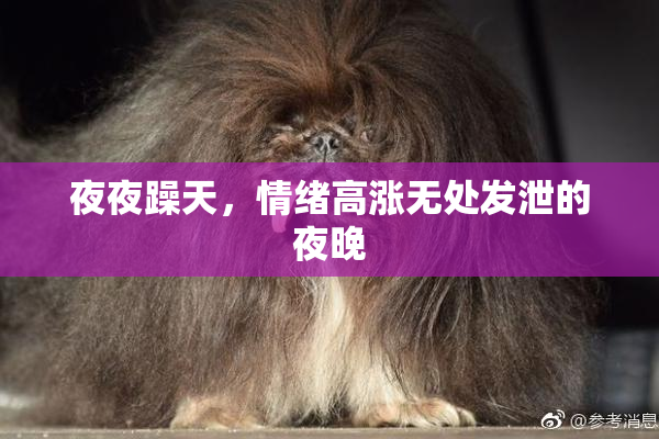 夜夜躁天，情绪高涨无处发泄的夜晚