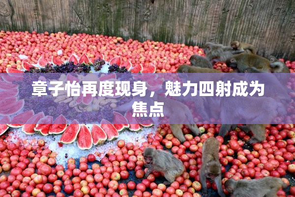 章子怡再度现身，魅力四射成为焦点