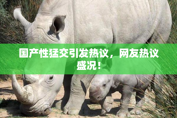 国产性猛交引发热议，网友热议盛况！