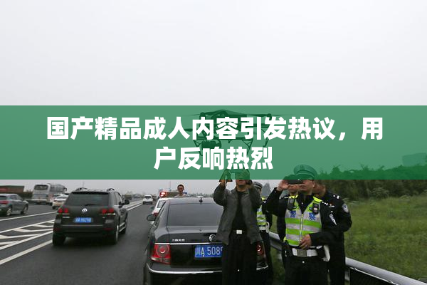 国产精品成人内容引发热议，用户反响热烈