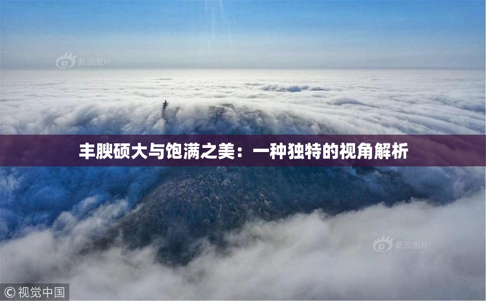 丰腴硕大与饱满之美：一种独特的视角解析
