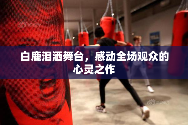 白鹿泪洒舞台，感动全场观众的心灵之作