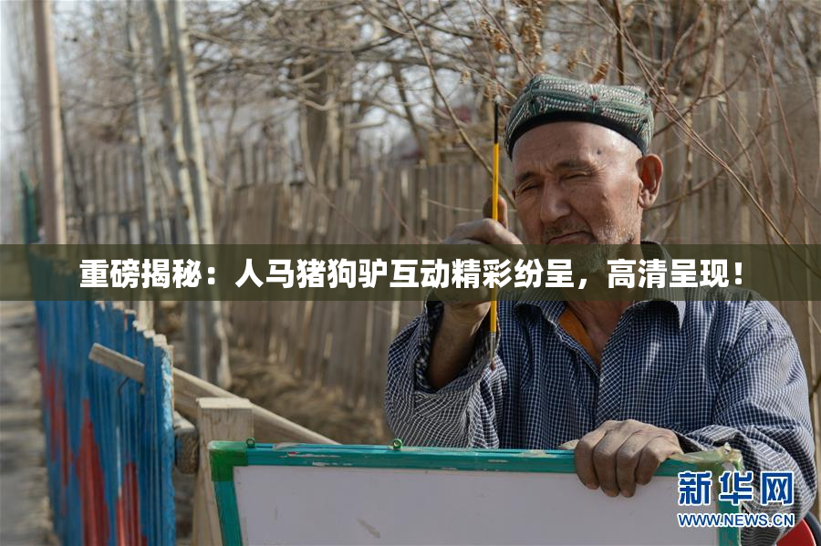 重磅揭秘：人马猪狗驴互动精彩纷呈，高清呈现！