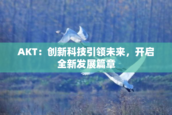 AKT：创新科技引领未来，开启全新发展篇章