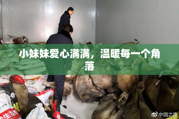 小妹妹爱心满满，温暖每一个角落