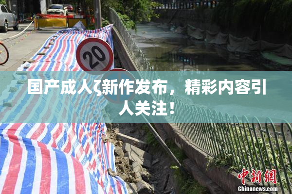 国产成人ζ新作发布，精彩内容引人关注！