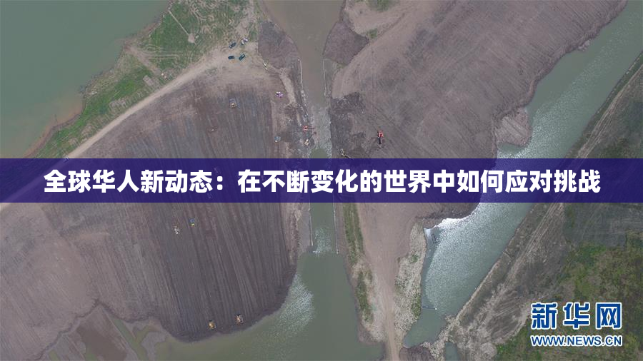 全球华人新动态：在不断变化的世界中如何应对挑战