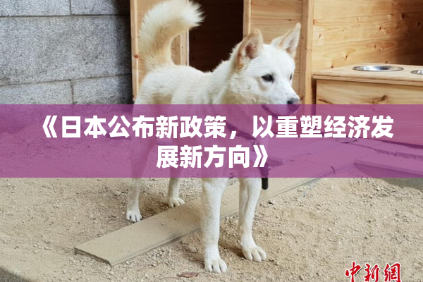 《日本公布新政策，以重塑经济发展新方向》
