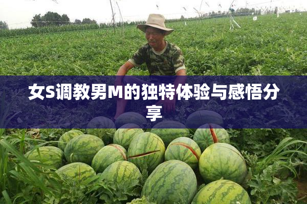 女S调教男M的独特体验与感悟分享