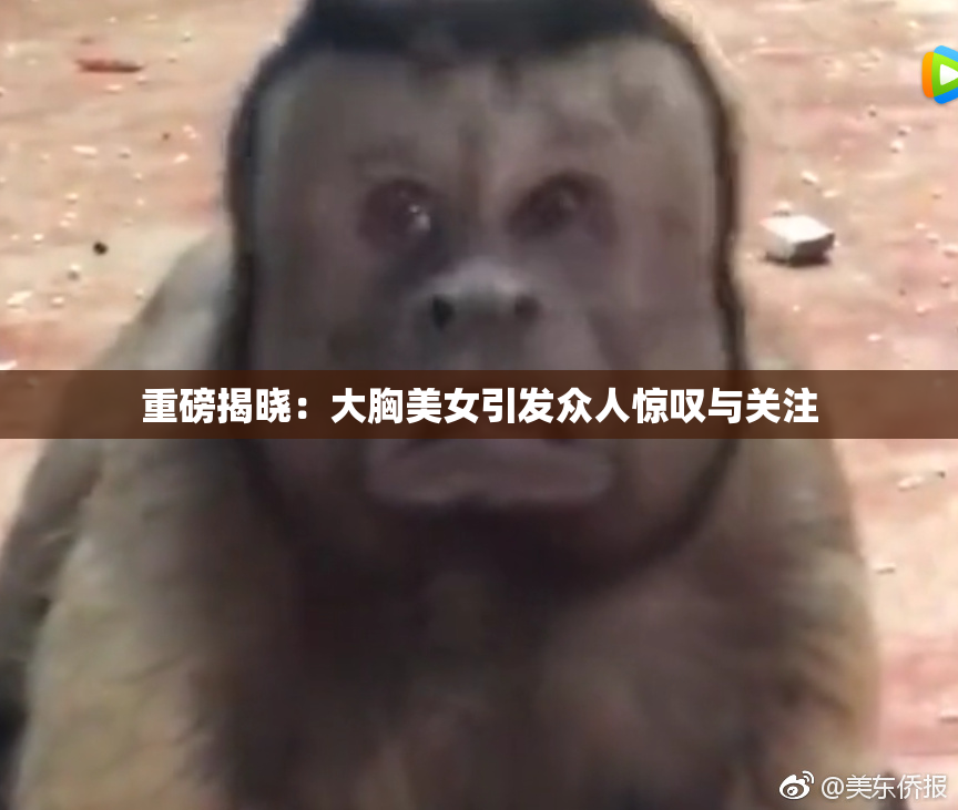 重磅揭晓：大胸美女引发众人惊叹与关注