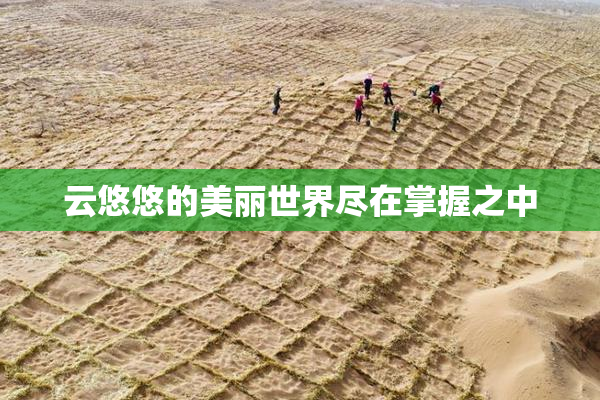 云悠悠的美丽世界尽在掌握之中
