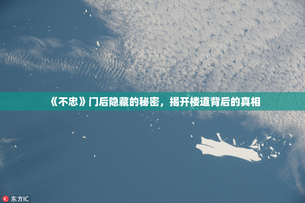 《不忠》门后隐藏的秘密，揭开楼道背后的真相