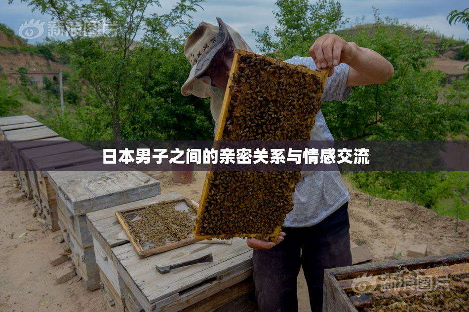 日本男子之间的亲密关系与情感交流