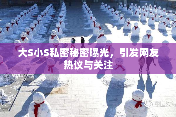 大S小S私密秘密曝光，引发网友热议与关注