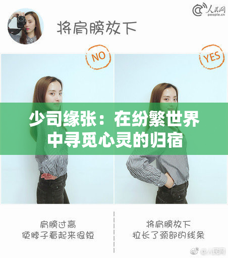 少司缘张：在纷繁世界中寻觅心灵的归宿