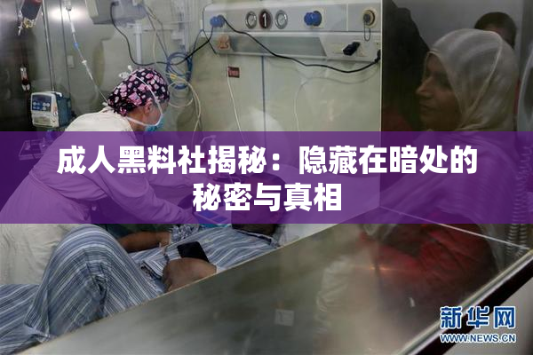 成人黑料社揭秘：隐藏在暗处的秘密与真相
