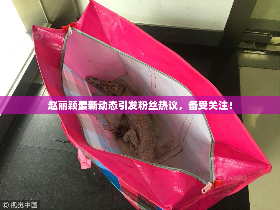 赵丽颖最新动态引发粉丝热议，备受关注！