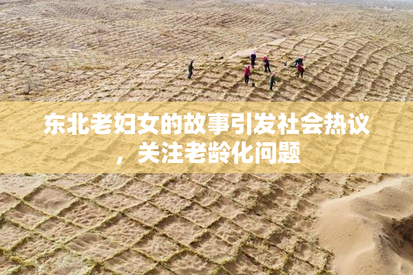 东北老妇女的故事引发社会热议，关注老龄化问题