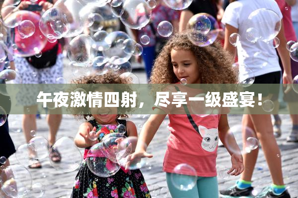 午夜激情四射，尽享一级盛宴！