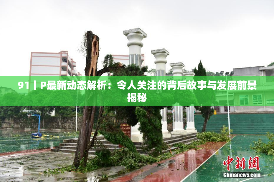 91丨P最新动态解析：令人关注的背后故事与发展前景揭秘