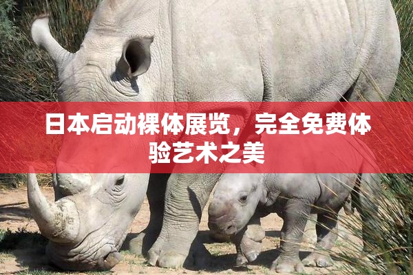 日本启动裸体展览，完全免费体验艺术之美