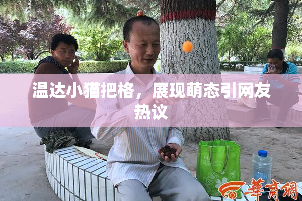 温达小猫把格，展现萌态引网友热议