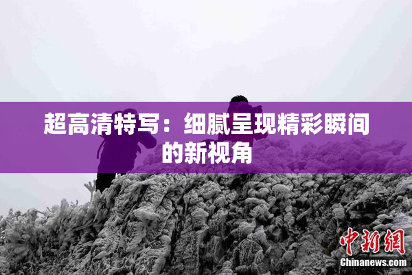 超高清特写：细腻呈现精彩瞬间的新视角