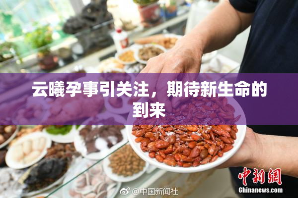 云曦孕事引关注，期待新生命的到来
