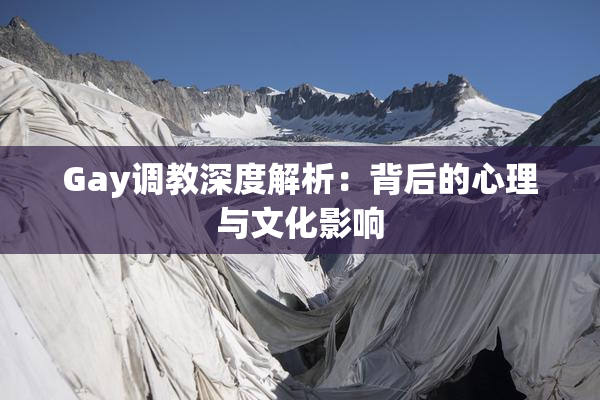 Gay调教深度解析：背后的心理与文化影响