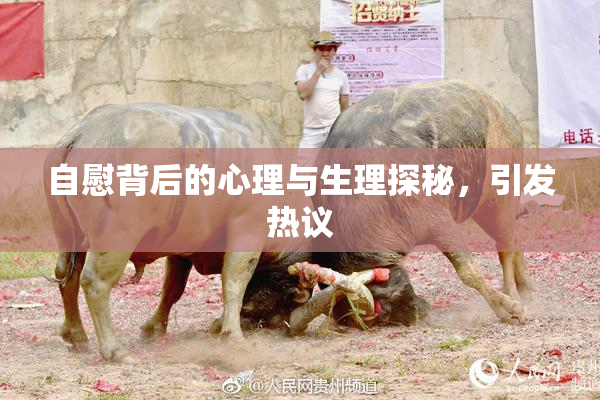 自慰背后的心理与生理探秘，引发热议