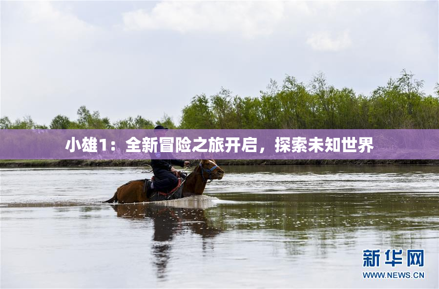 小雄1：全新冒险之旅开启，探索未知世界