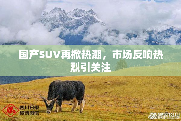 国产SUV再掀热潮，市场反响热烈引关注