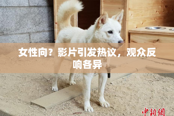 女性向？影片引发热议，观众反响各异