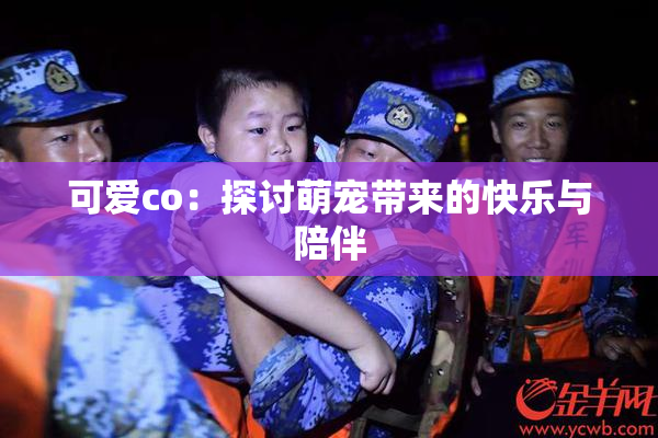 可爱co：探讨萌宠带来的快乐与陪伴