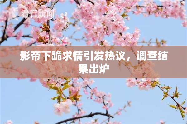 影帝下跪求情引发热议，调查结果出炉