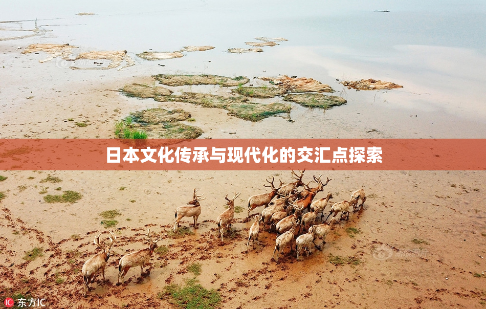 日本文化传承与现代化的交汇点探索