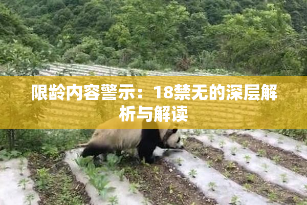 限龄内容警示：18禁无的深层解析与解读