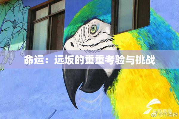 命运：远坂的重重考验与挑战