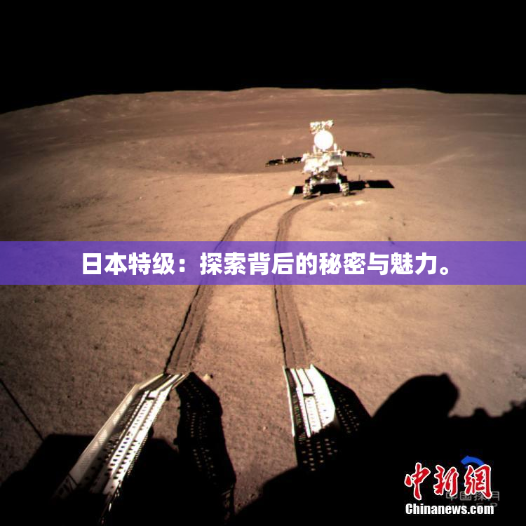日本特级：探索背后的秘密与魅力。